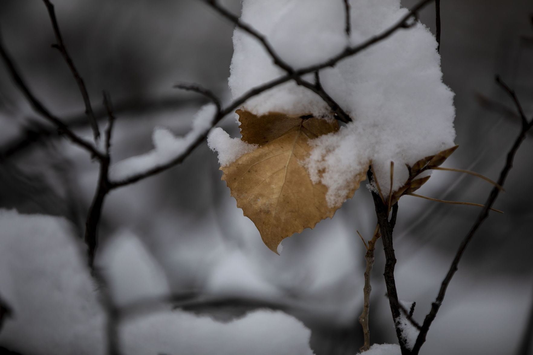 040420-news-snow 07.jpg